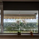 Forni Di Sotto 38 Udine